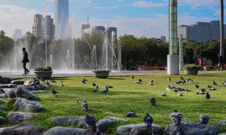 Green Spaces in Cities and on Coasts: They All Matter