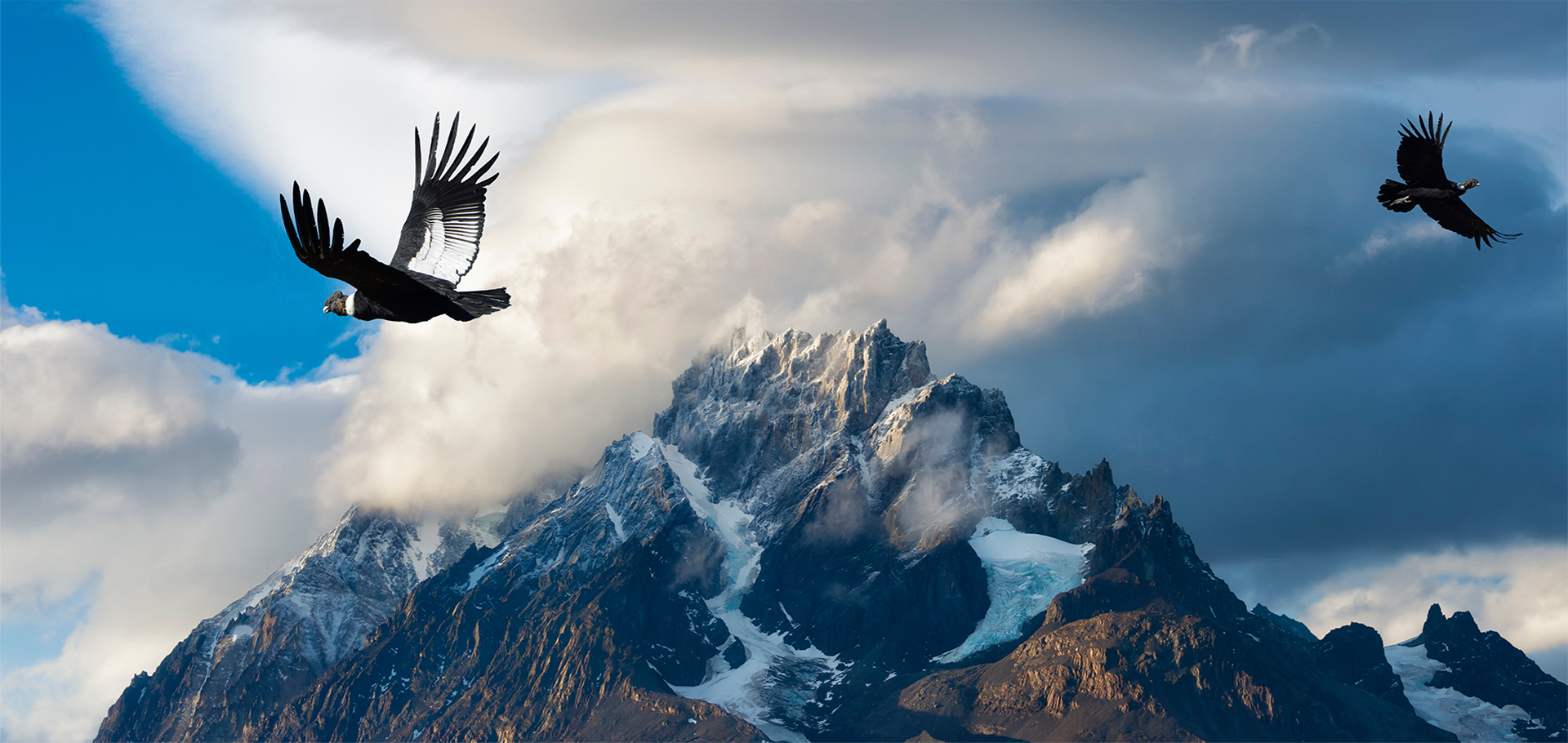 Andean Condors flying over mountains, Torres del Paine National Park, Chilean Patagonia, Chile