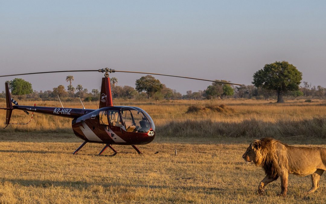 Why a Custom Africa Adventure May be Right for You