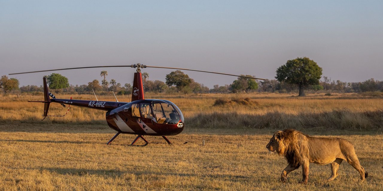 Why a Custom Africa Adventure May be Right for You