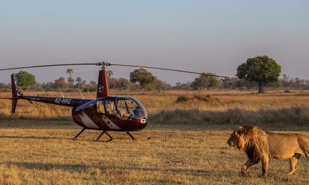 Why a Custom Africa Adventure May be Right for You