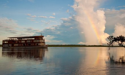 Five Safari Adventures Outside Africa