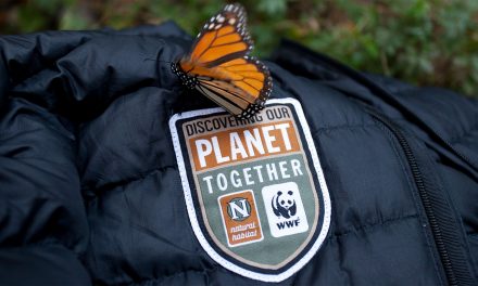 Nat Hab Unwrapped: The True Value of Nature Travel