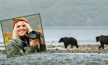 A Wildlife Photographer on Social Media, Saving the Planet and Getting the Perfect Grizzly Shot