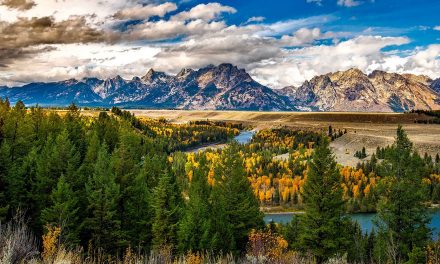 Find Amazement, Awe and Wonder in Nature