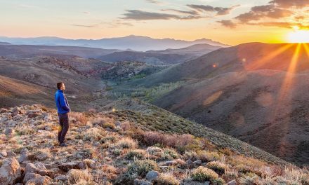 The Gap Between Humans and Nature Is Growing