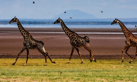 New Year’s Resolution: Eat Like a Tanzanian