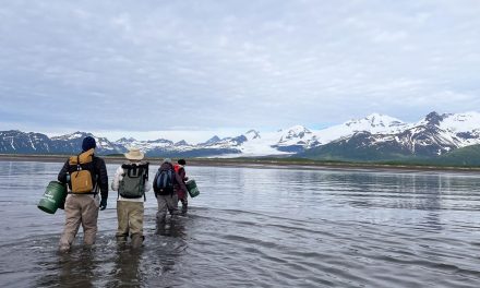 Sights and Sounds of Alaska