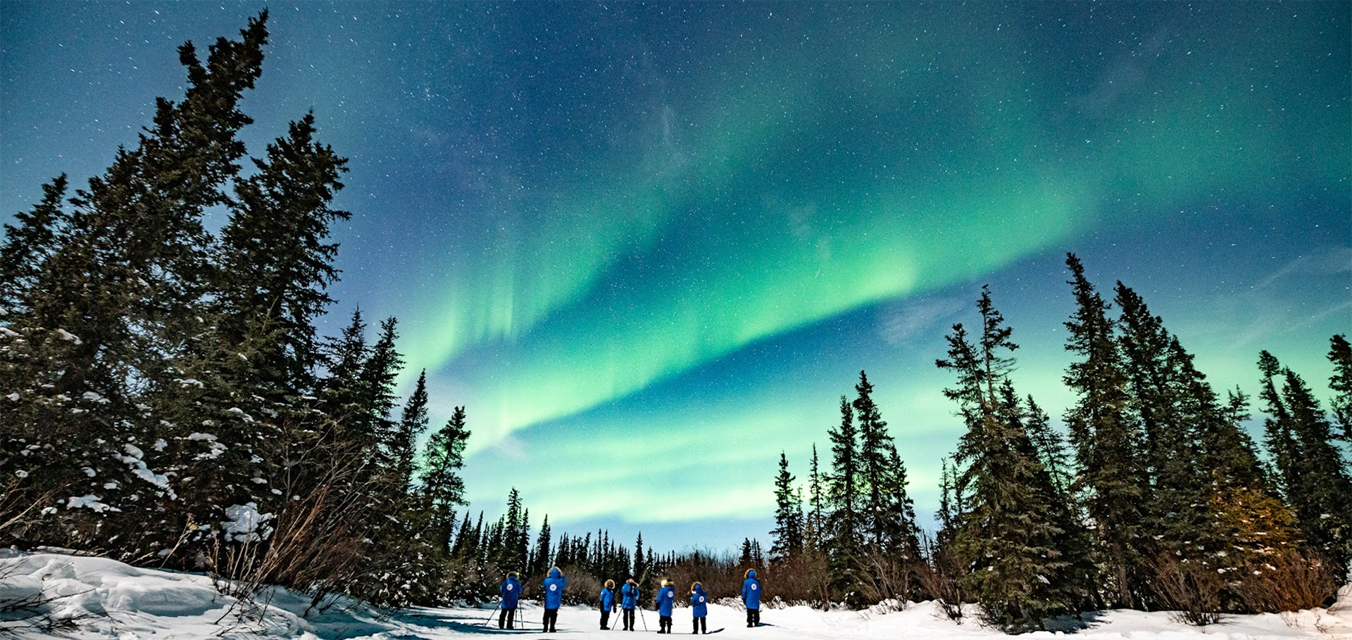 Northern lights natural habitat adventures and WWF nature travel climate change trips aurora