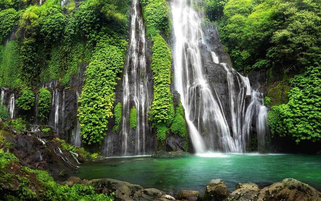 8 Rainforest Ecotourism Adventures