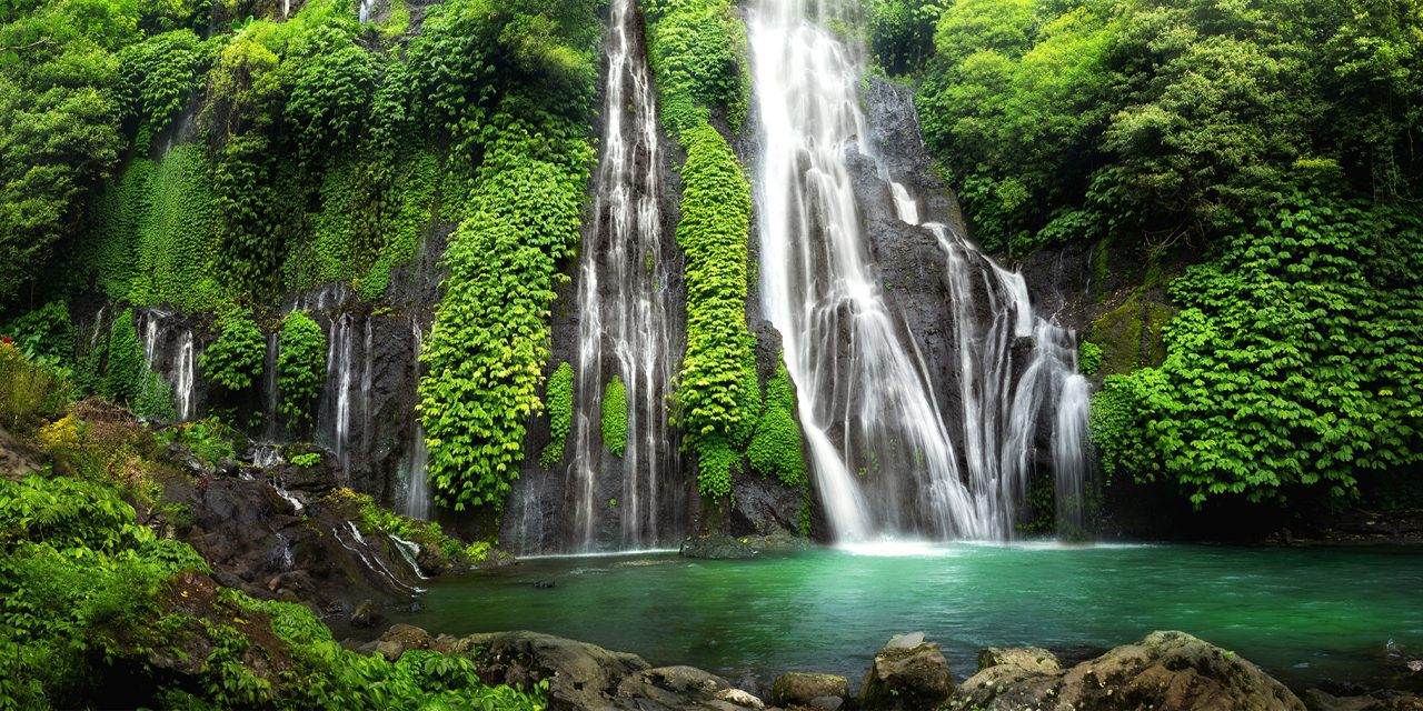 8 Rainforest Ecotourism Adventures