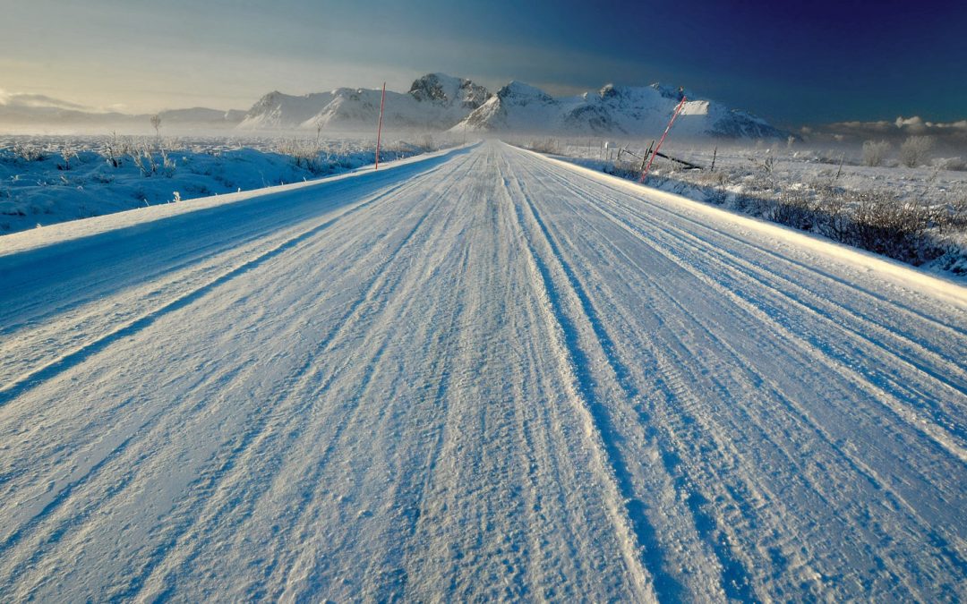 Roads: The Winter and Wildlife Kind