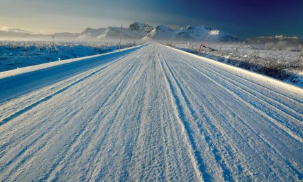 Roads: The Winter and Wildlife Kind