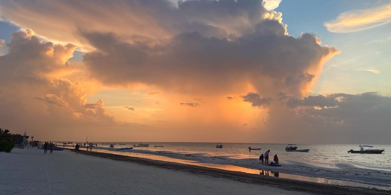 Diving In: A Mexican Whale Shark Excursion