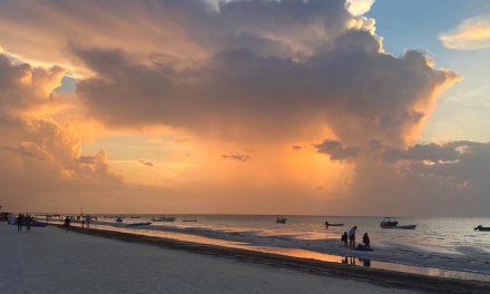 Diving In: A Mexican Whale Shark Excursion
