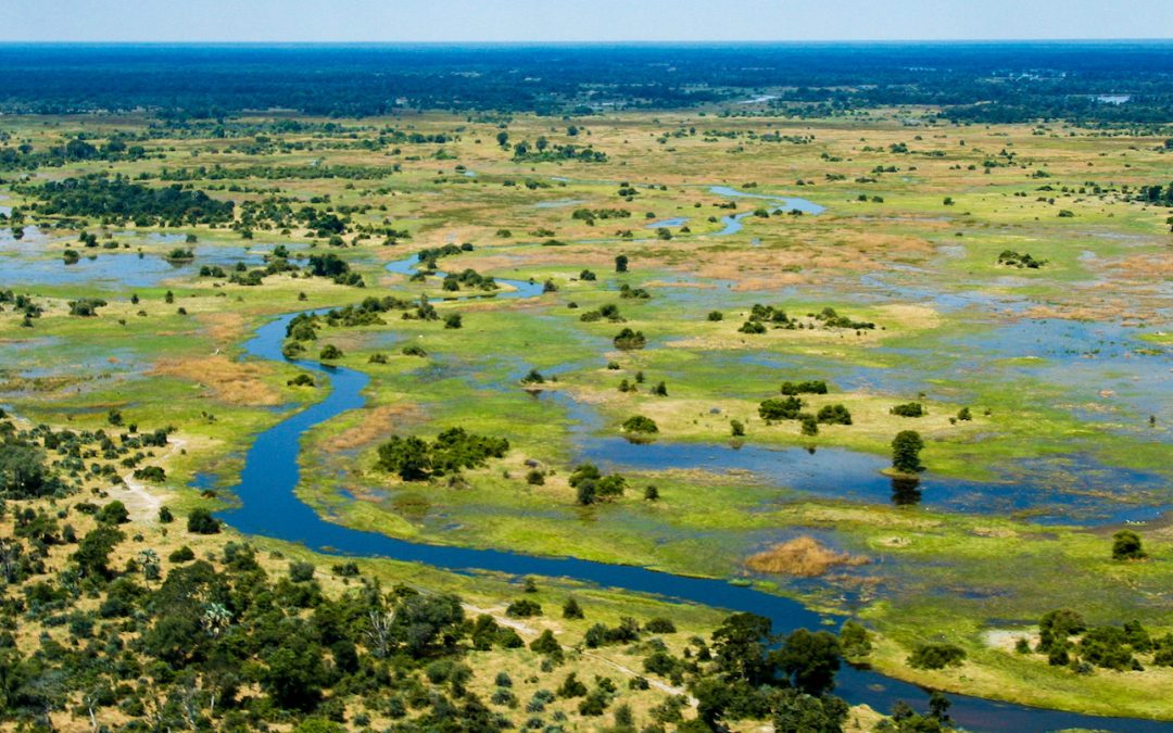 Five Wetlands to Explore With Natural Habitat Adventures