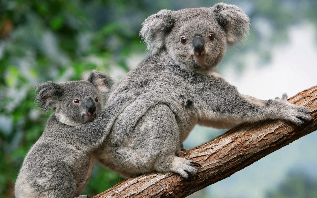 20 Nat Hab Destinations Named Top Trips of 2023 (Plus: Take Our Travel Quiz!)