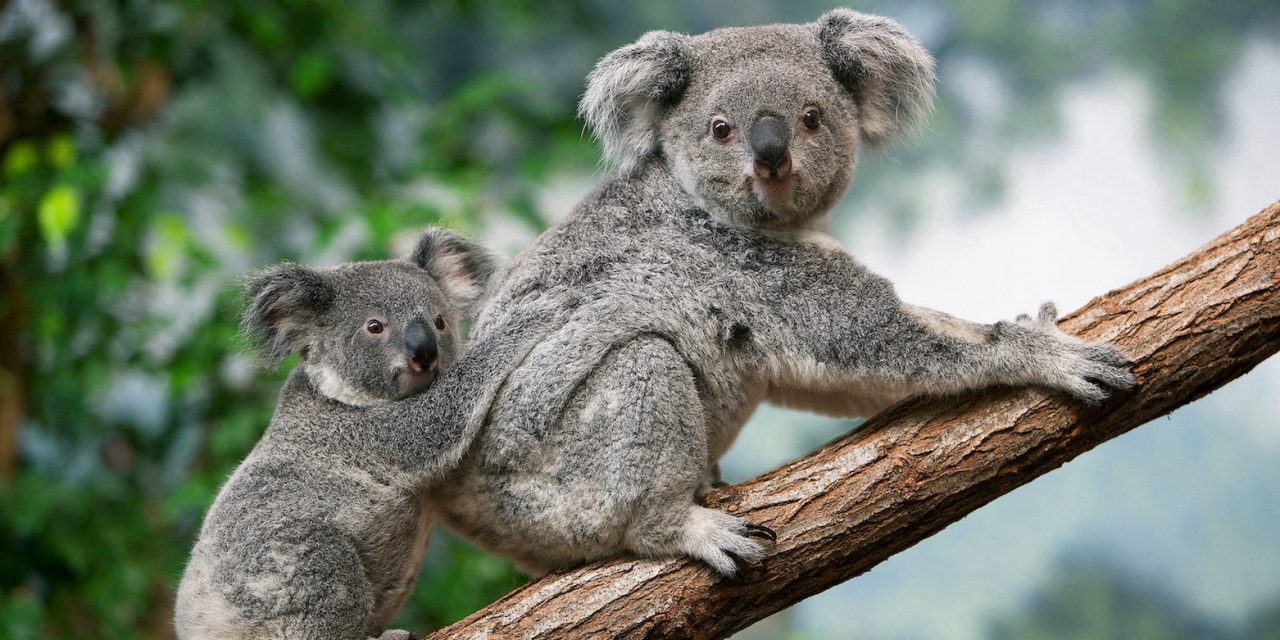 20 Nat Hab Destinations Named Top Trips of 2023 (Plus: Take Our Travel Quiz!)