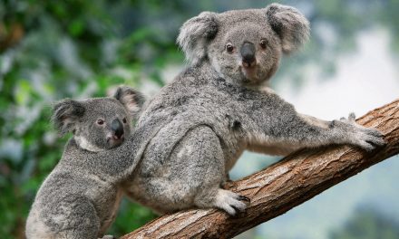 20 Nat Hab Destinations Named Top Trips of 2023 (Plus: Take Our Travel Quiz!)