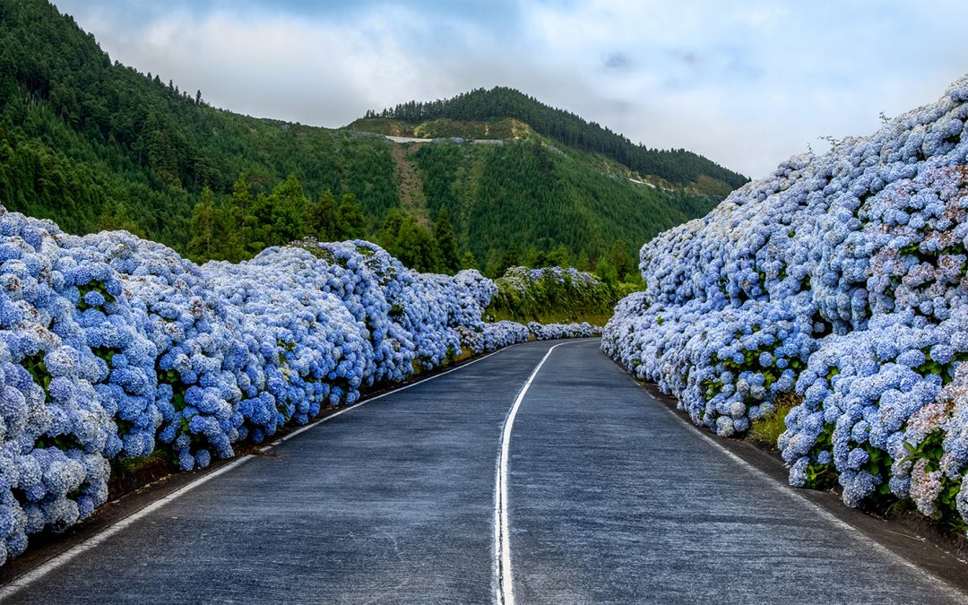 10 Nature Trips to Celebrate Spring