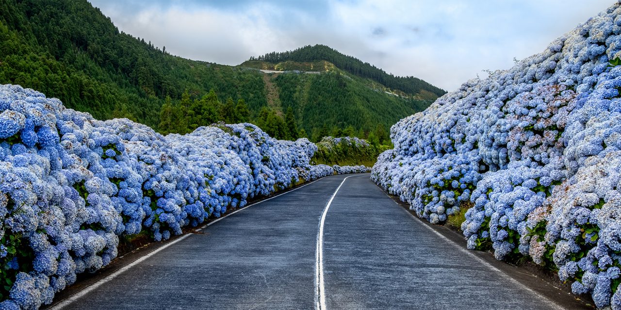 10 Nature Trips to Celebrate Spring