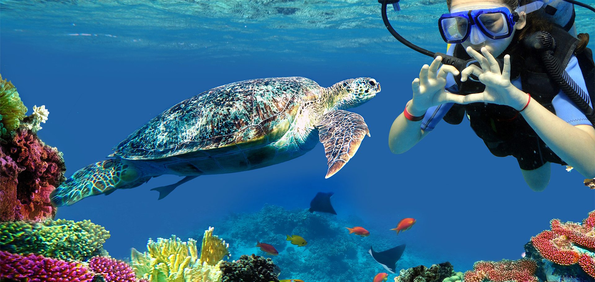 Scuba diving woman makes heart symbol at sea turtle