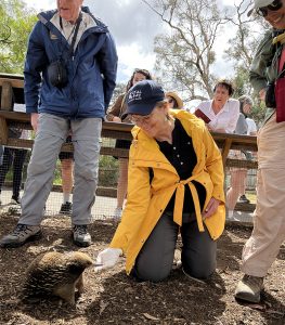 Nat Hab & WWF traveler meets an echidna for the first time at a wildlife sanctuary in Tasmania