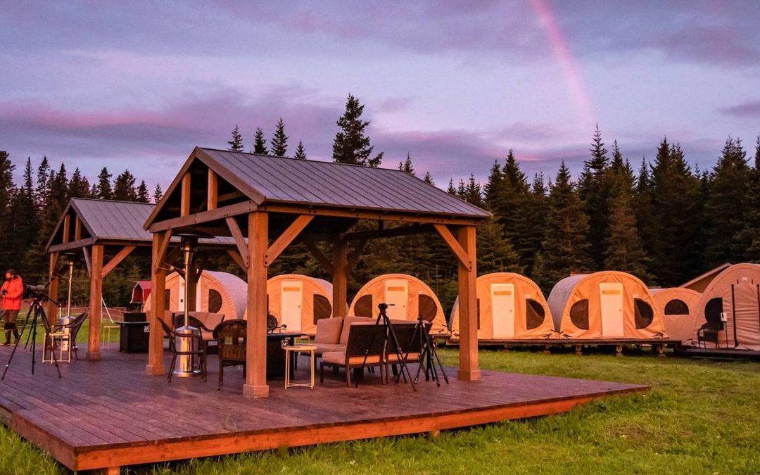 Natural Habitat Adventures Introduces Alaska Bear Camp