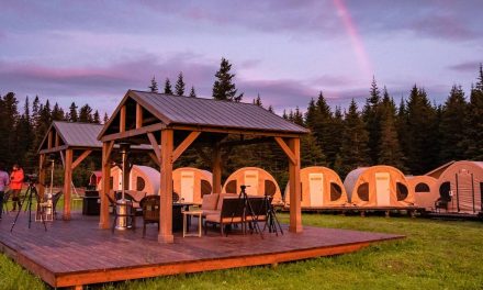 Natural Habitat Adventures Introduces Alaska Bear Camp