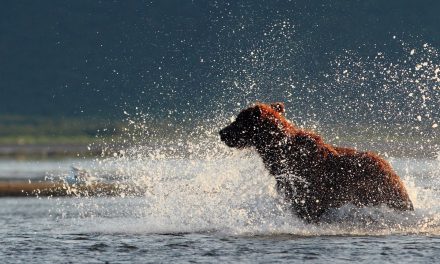 10 Ways to Celebrate World Water Day