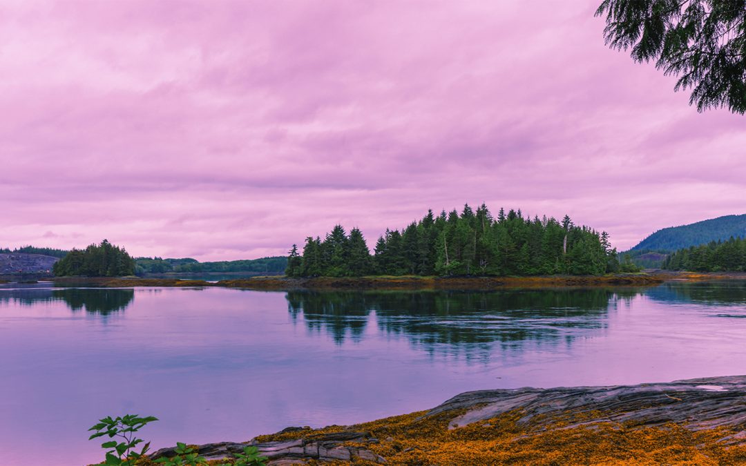 Gwaii Haanas: A Conservation Story in Canada’s Galapagos