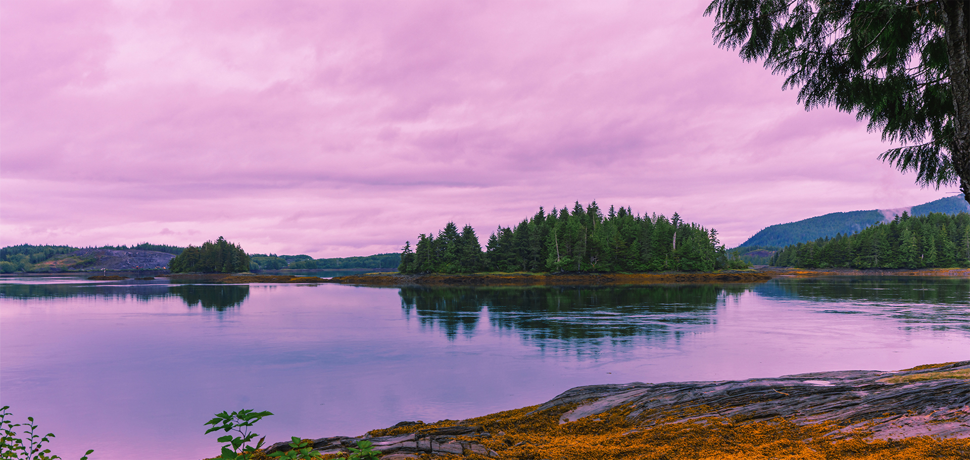 Trees on island, reflected in placid waters of Bearskin Bay, Hai