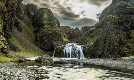 Iceland: A “Future Food” Protein Provider