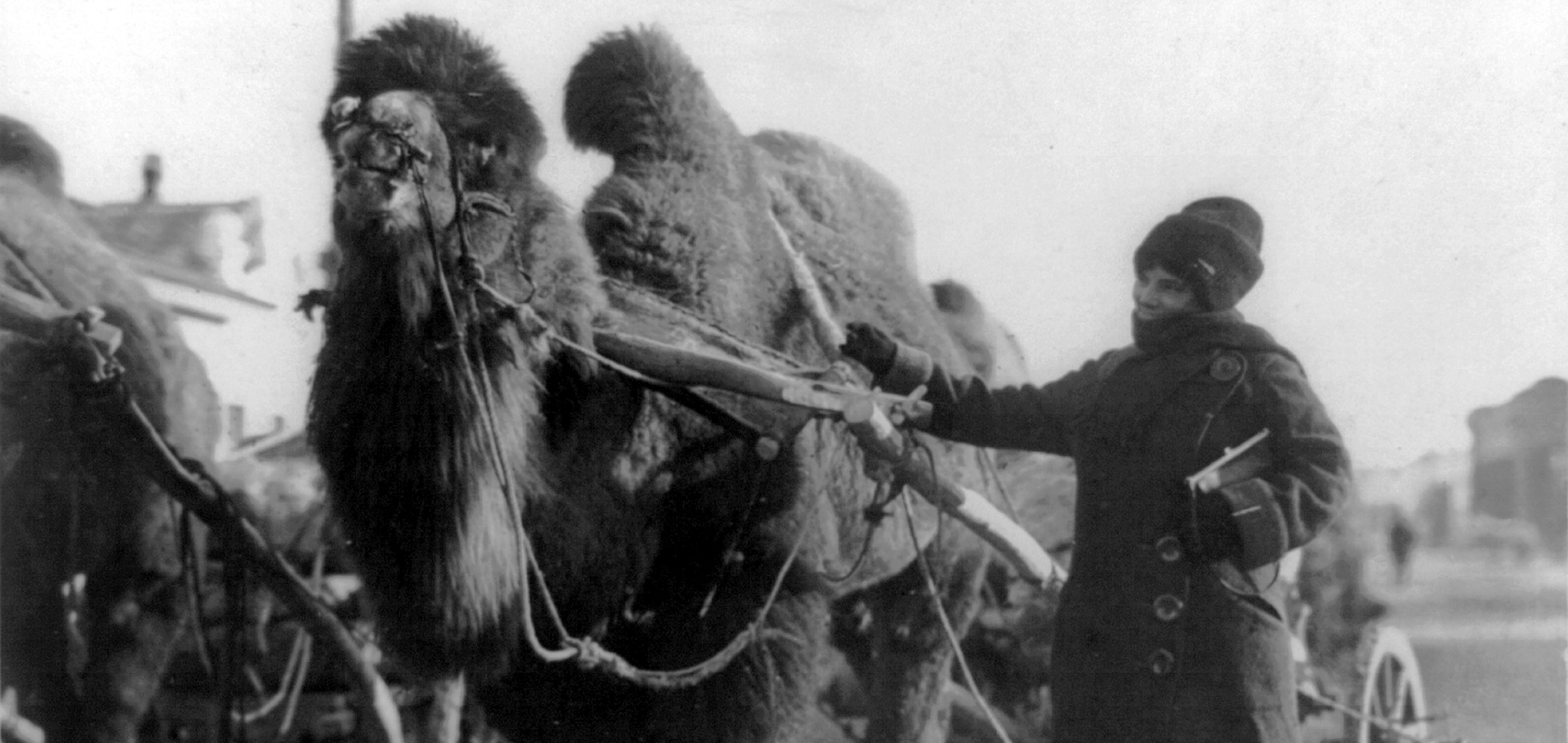 American explorer Harriet Chalmers Adams (1875-1937) in the Gobi Desert. Inscribed: "To H.E. French, with greetings from the Gobi, by Harriet Chalmers Adams."