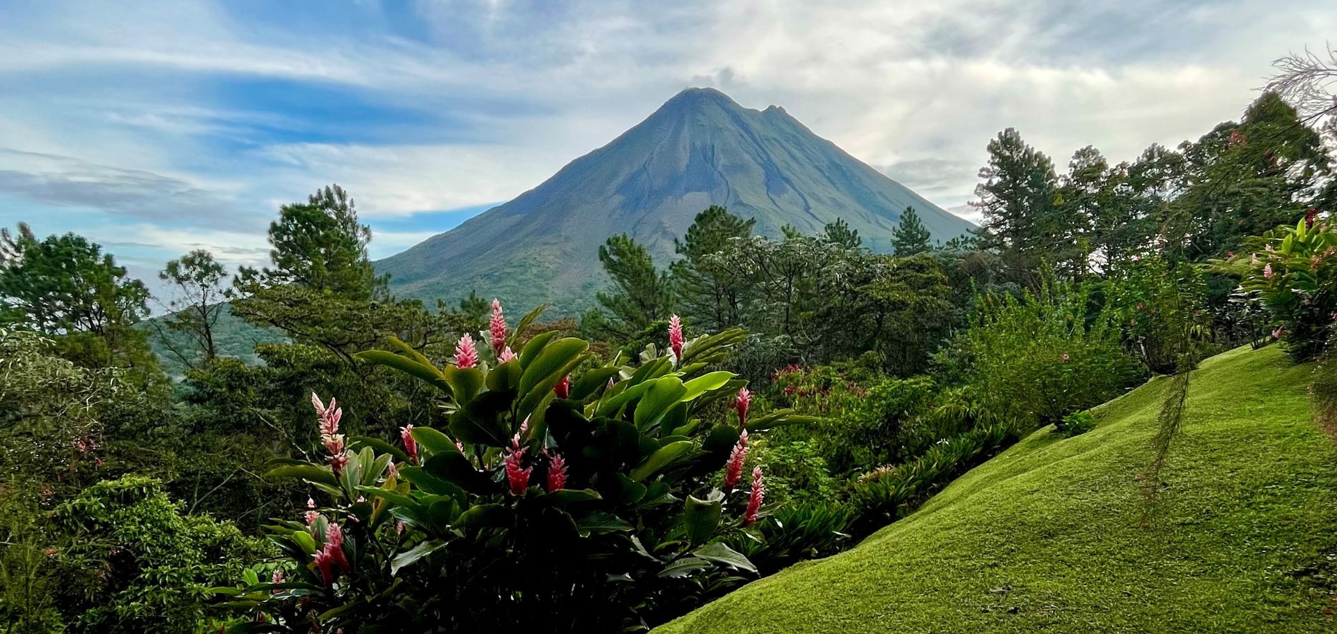 Volcano, trees, and flowers in Costa Rica scenery