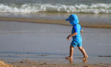 2022 Fifth Warmest Year on Record, But We’re Making Strides