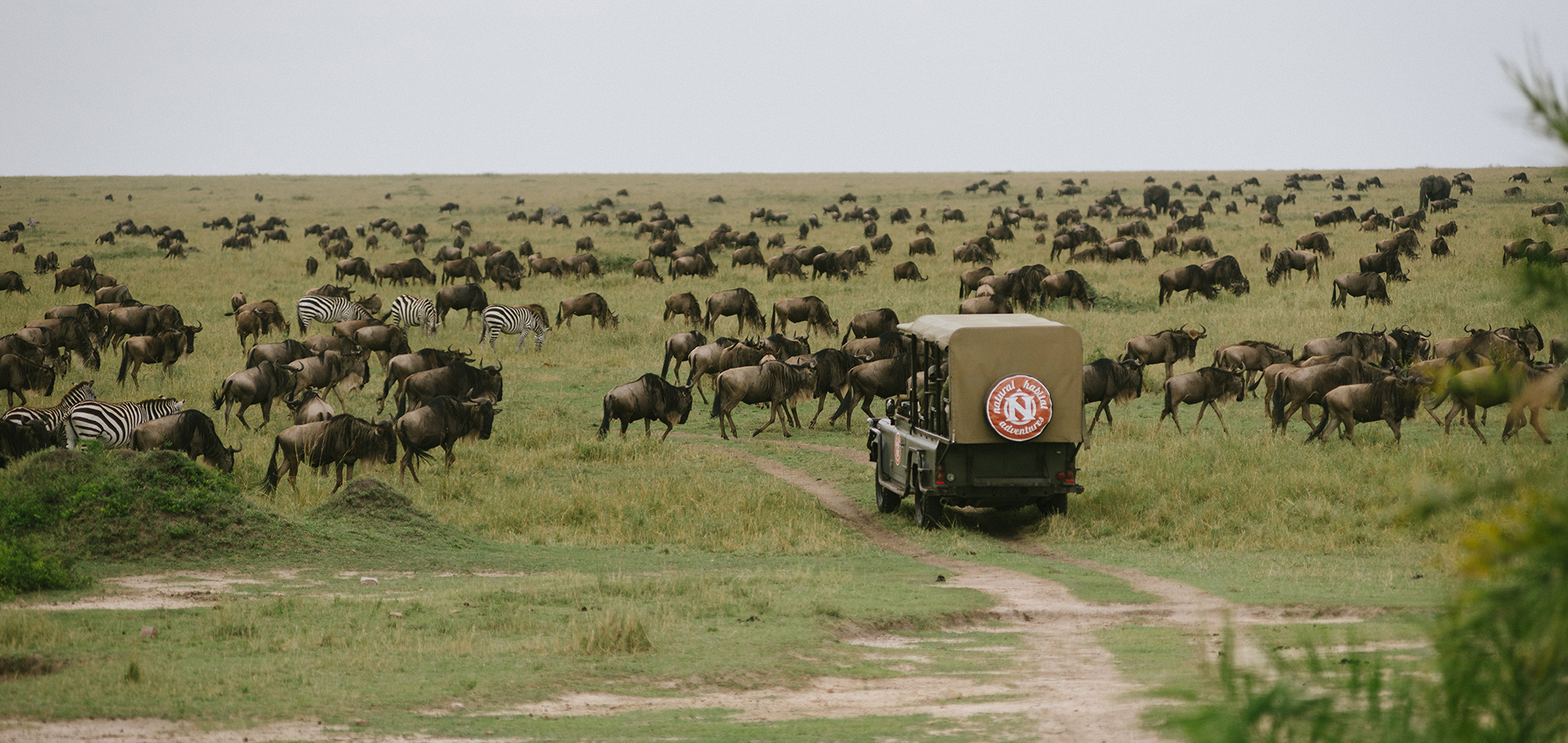 Nat Hab WWF safari truck east africa tanzania
