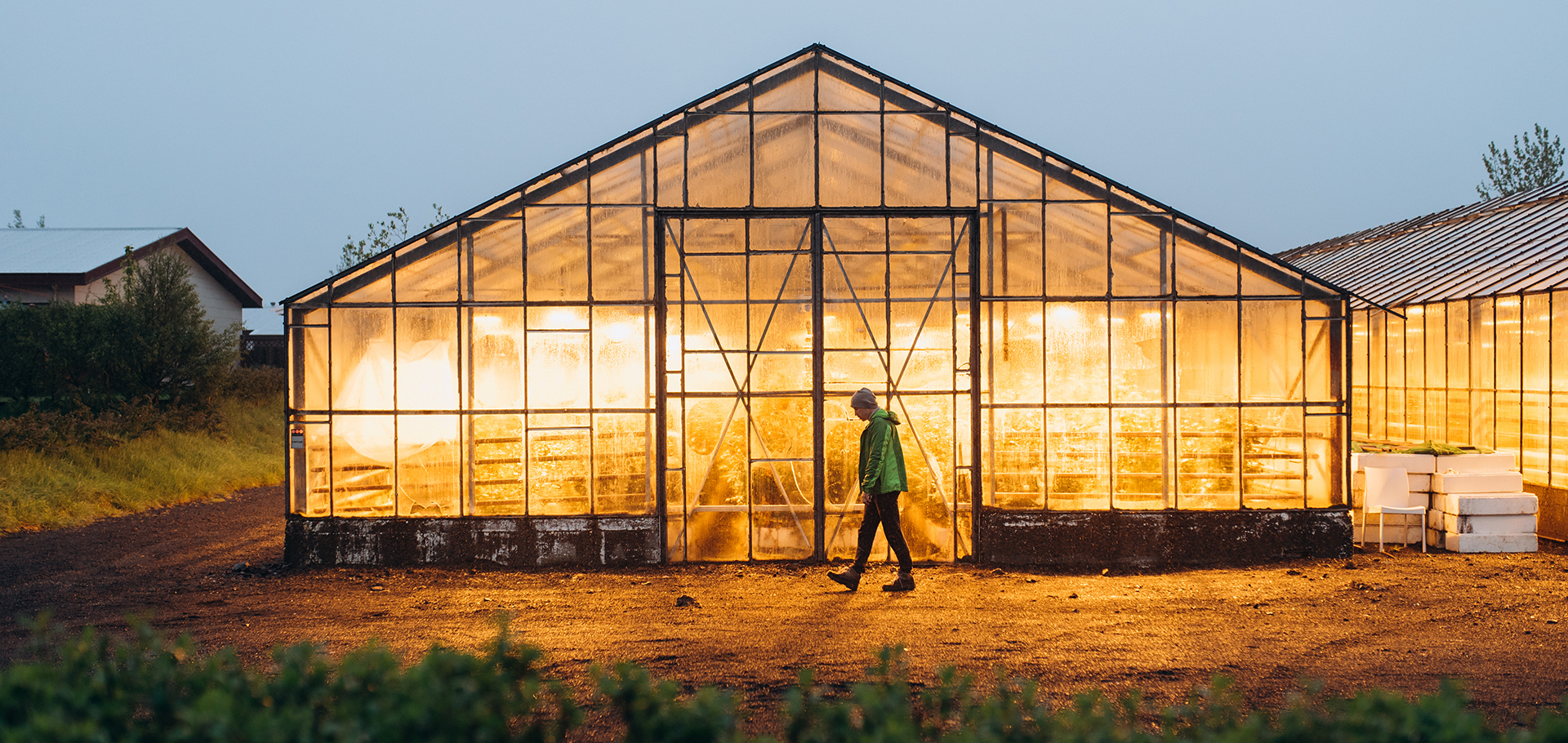 iceland greenhouse farmer walks in front beautiful lights sustainable agriculture arctic farming