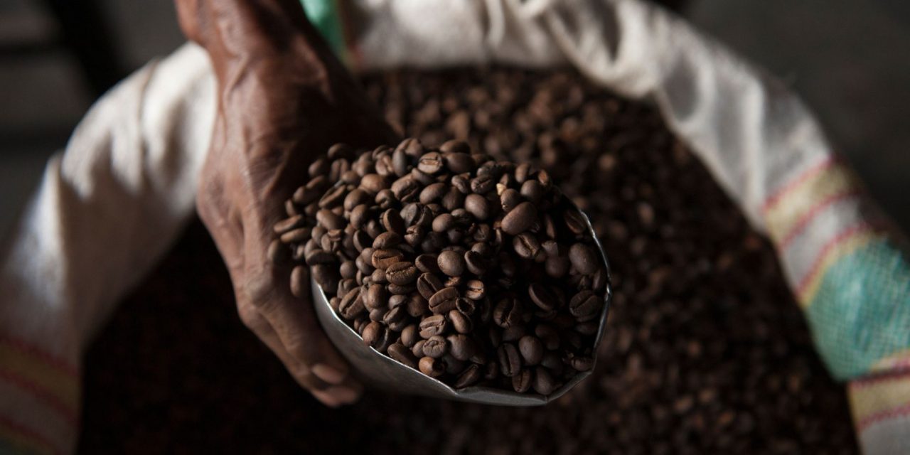 The Origins of Coffee and the Case for Sustainability