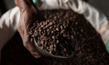 The Origins of Coffee and the Case for Sustainability