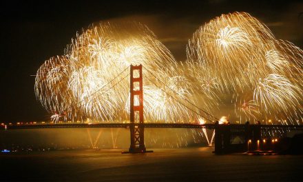 Fireworks, Wildlife and the Environment Don’t Mix