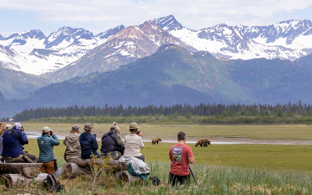 A Summer “Bear Camp” Adventure For the Young-Hearted