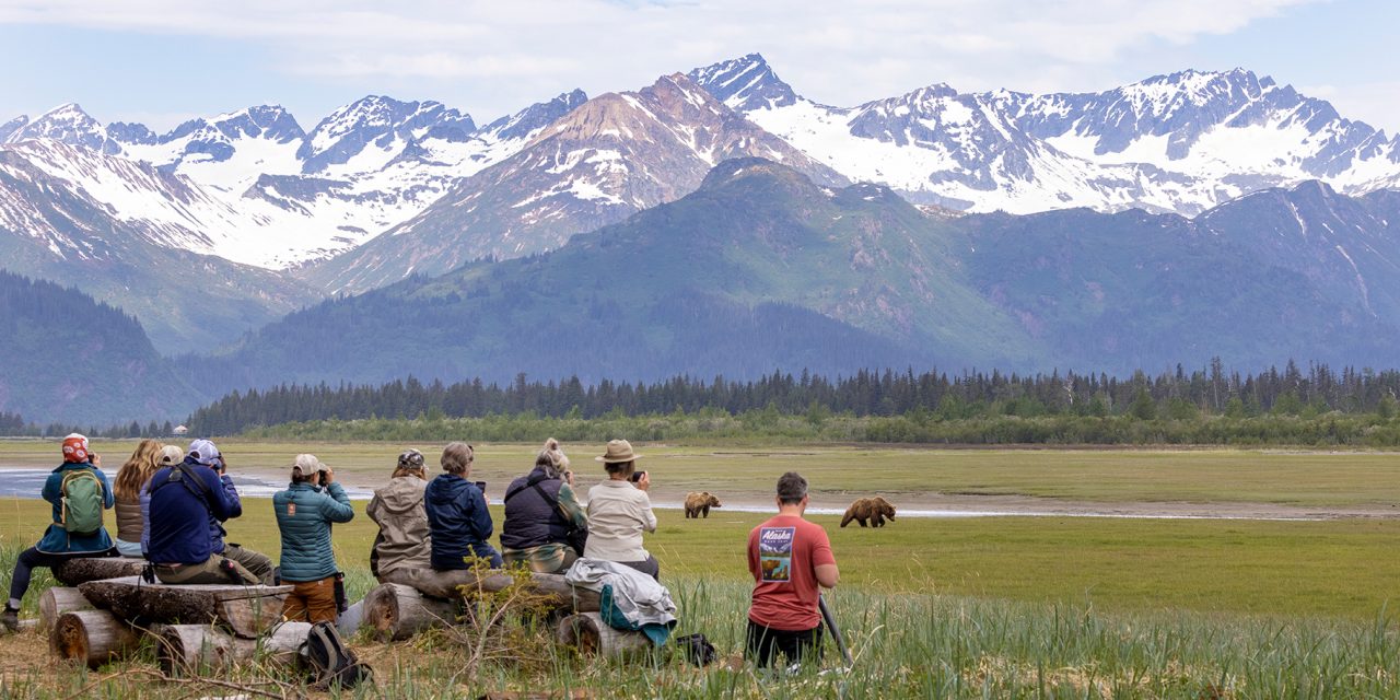 A Summer “Bear Camp” Adventure For the Young-Hearted