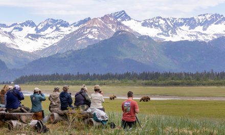 A Summer “Bear Camp” Adventure For the Young-Hearted