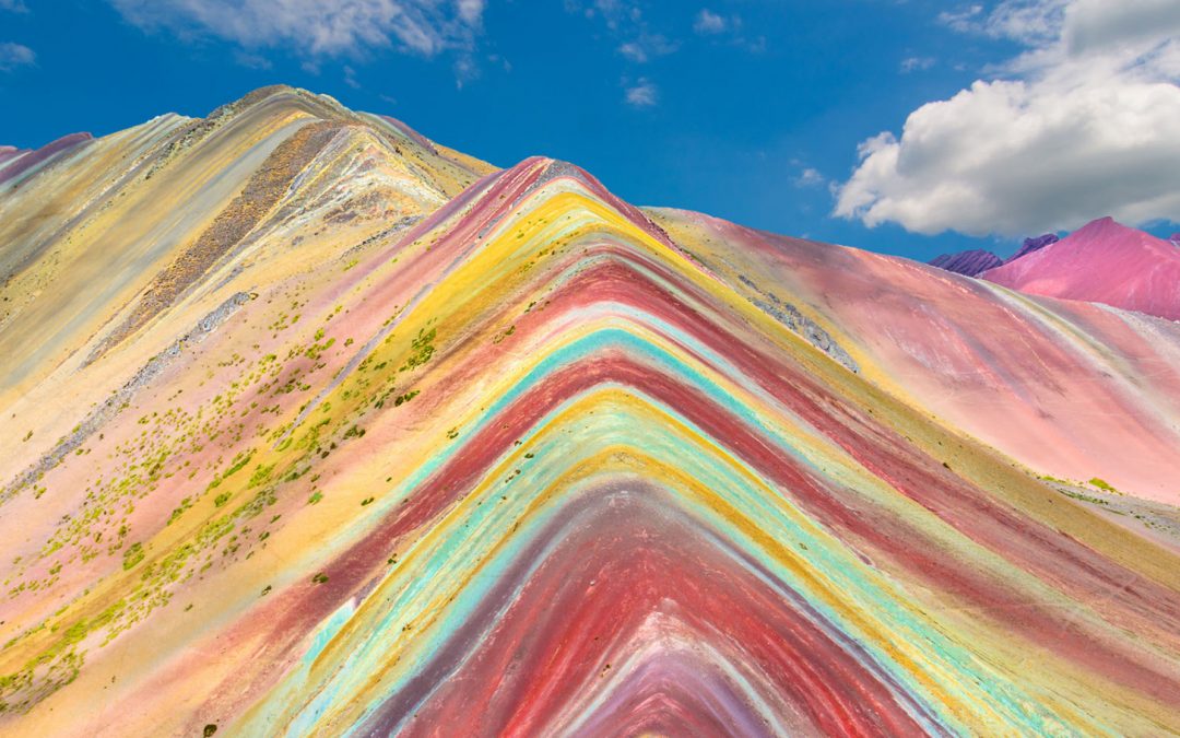 Wild About Pride: The Nature of Belonging