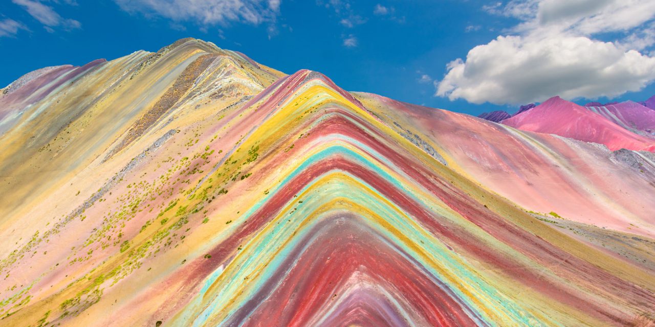 Wild About Pride: The Nature of Belonging