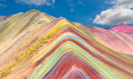 Wild About Pride: The Nature of Belonging