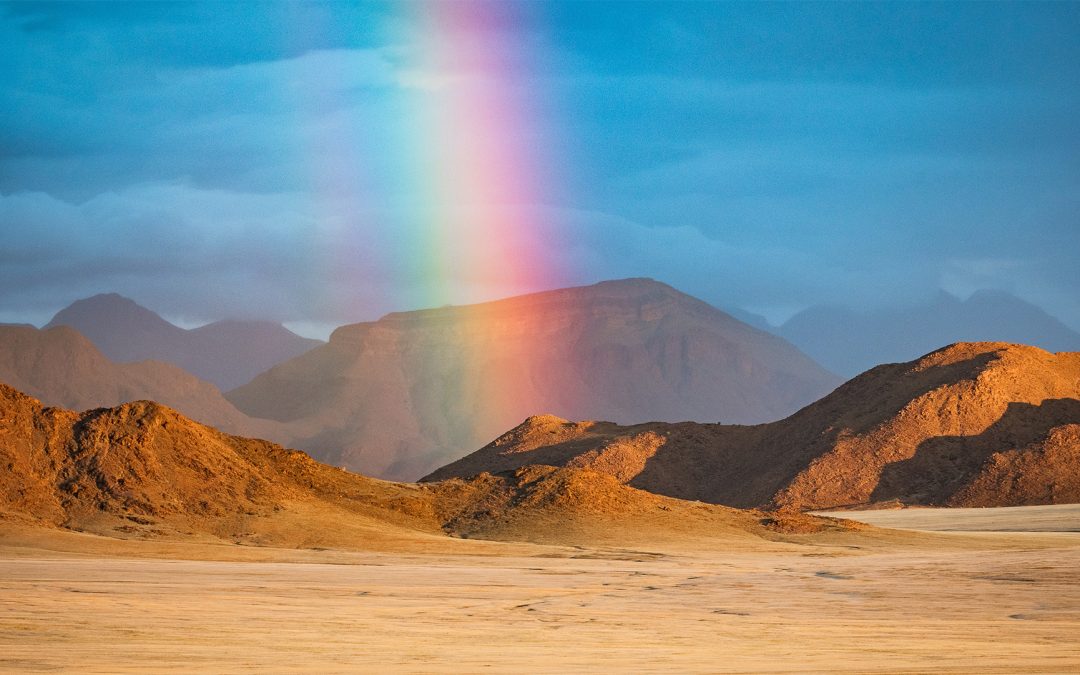 A Namibia Safari: 5 Wild Places You Won’t Want to Miss