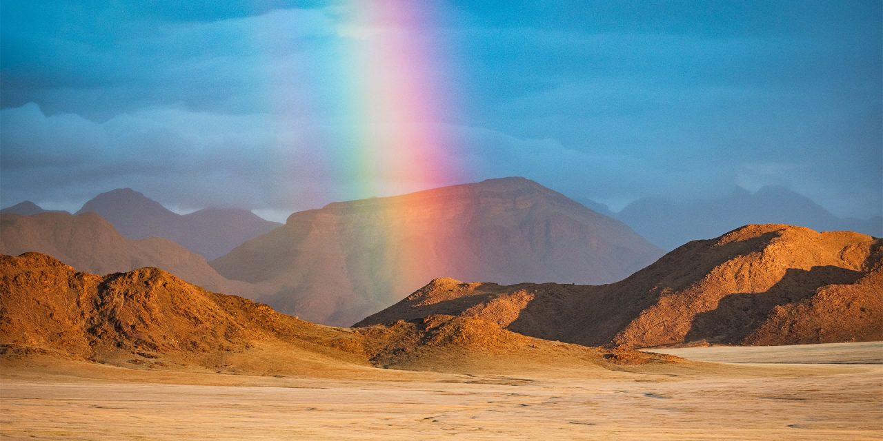 A Namibia Safari: 5 Wild Places You Won’t Want to Miss