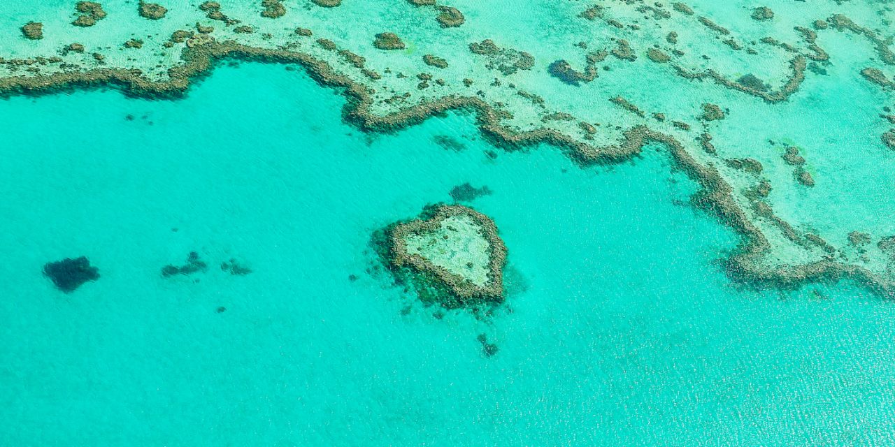 Stories to Inspire: Conservation Wins from Around the World